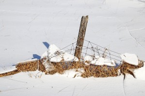 Weight Of Winter